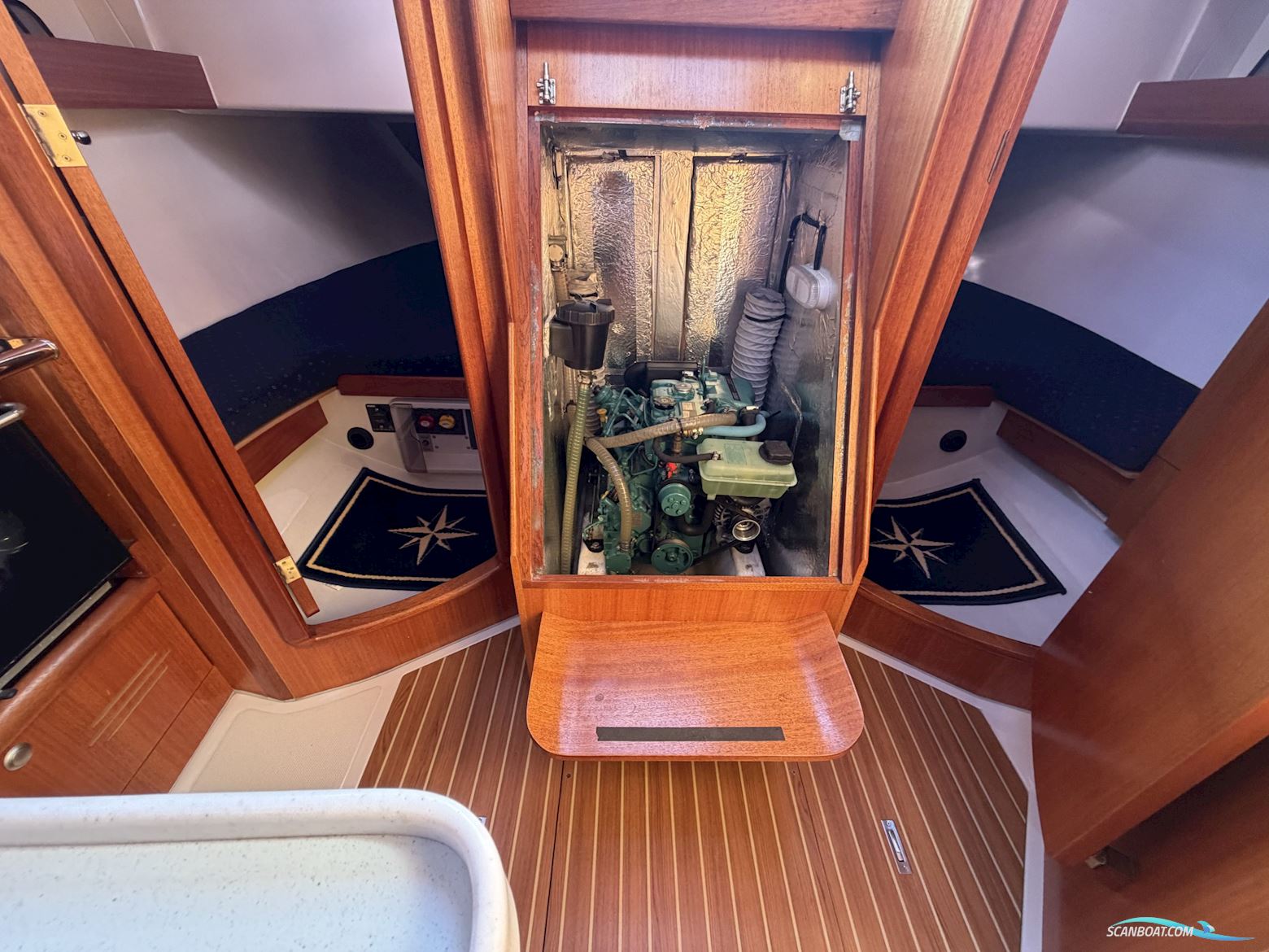 Delphia Delphia 37
