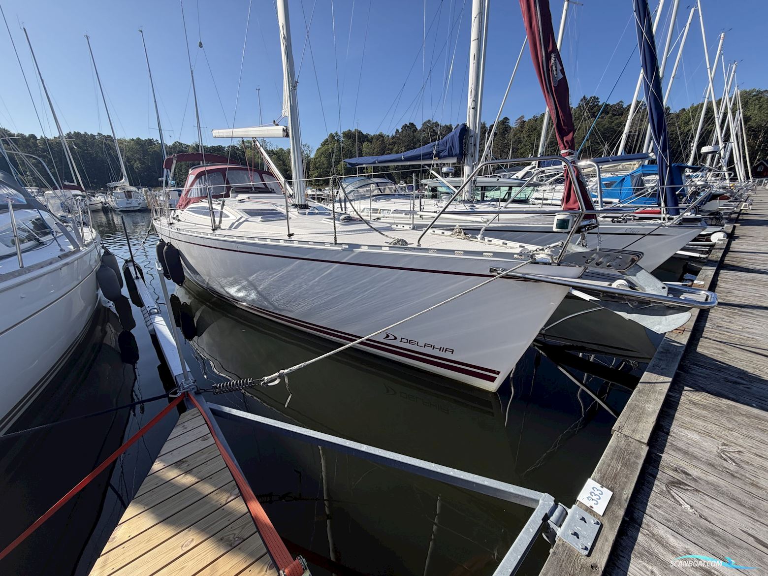 Delphia Delphia 37