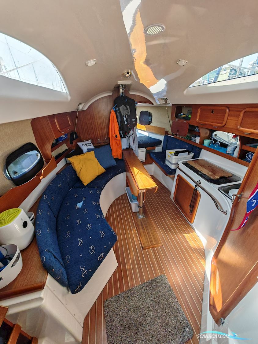 Delphia Sportina 760