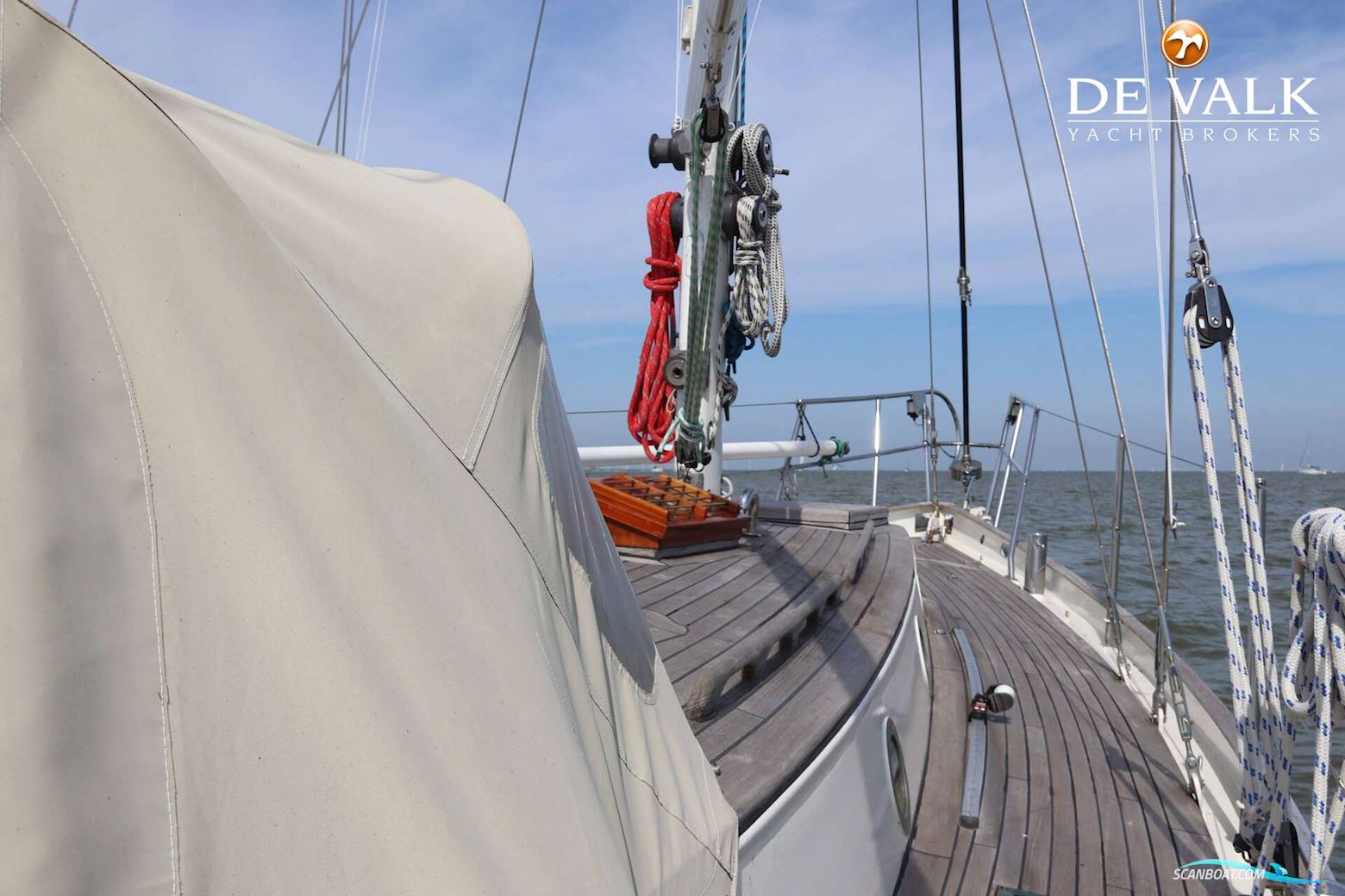 Dick Zaal Polar Bear