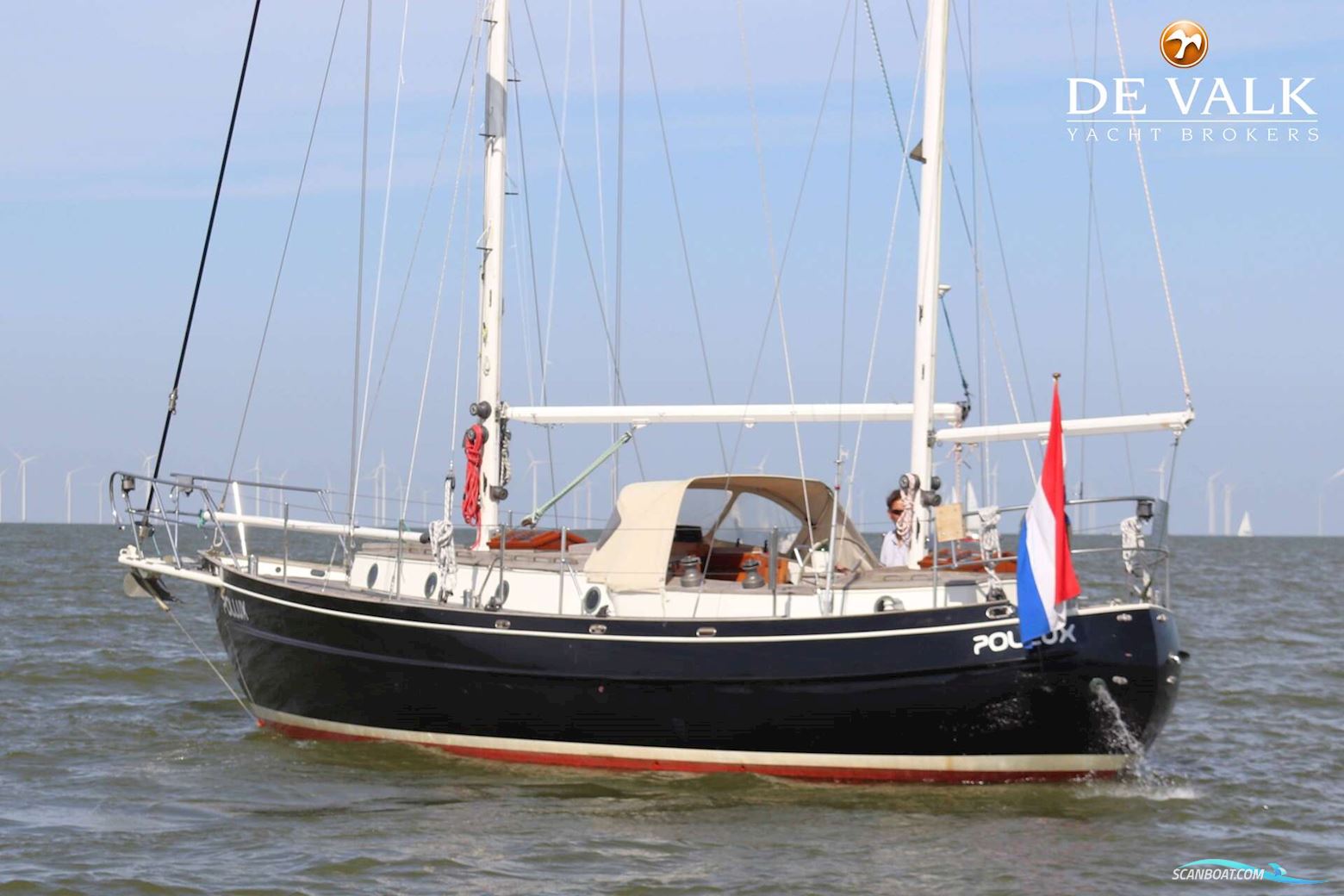 Dick Zaal Polar Bear