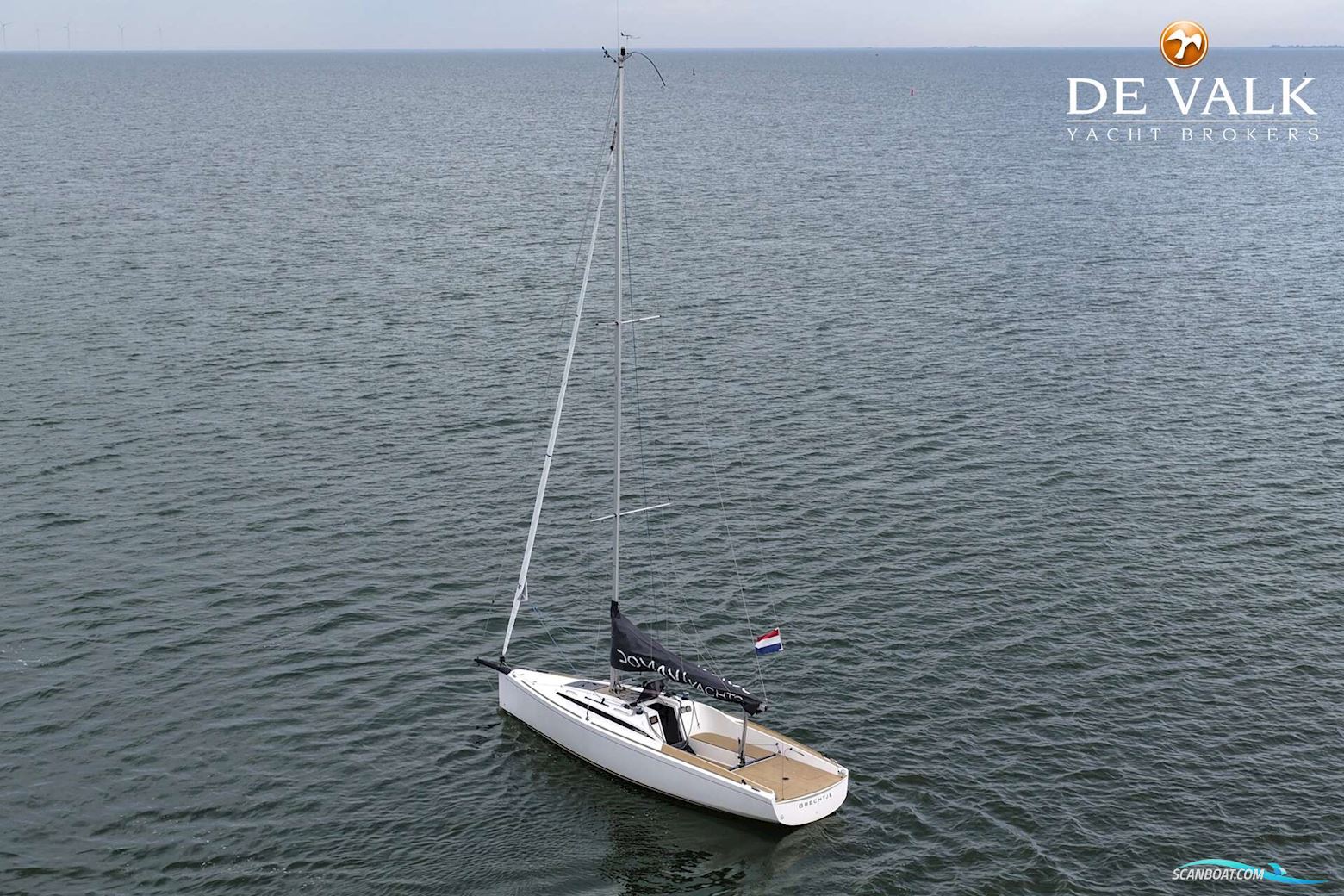 Domani S30 Sportyacht