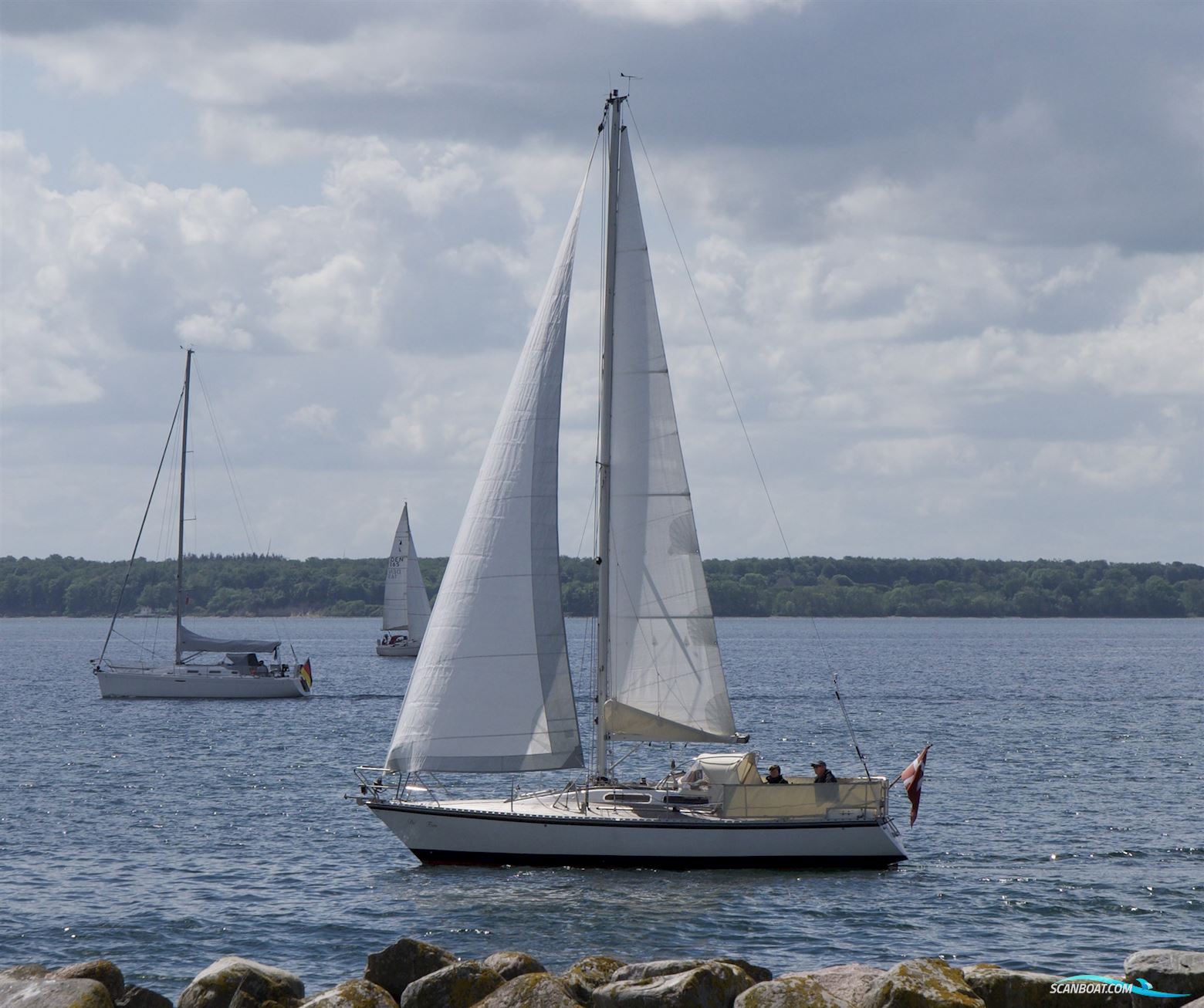 D.P. Doug Peterson 31 Segelbåt 1977, med Yanmar 3YM30 F/W K. motor, Danmark