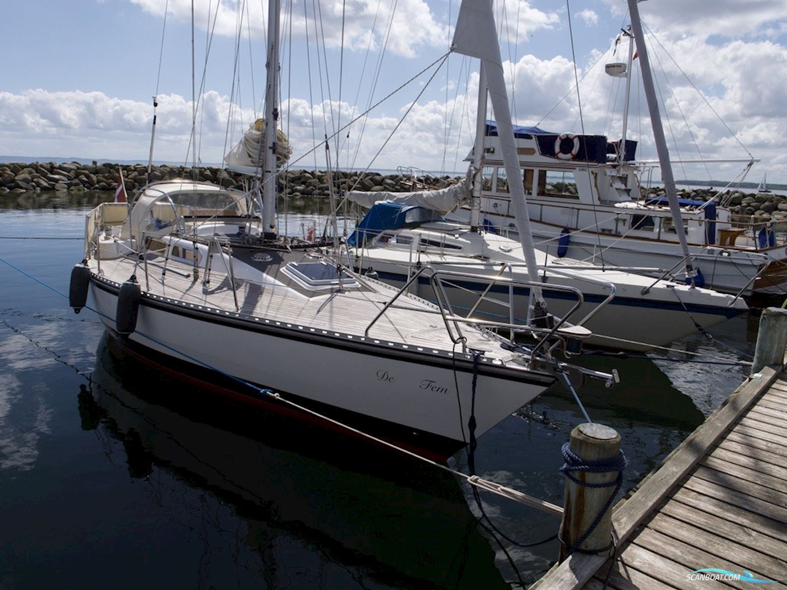 D.P. Doug Peterson 31