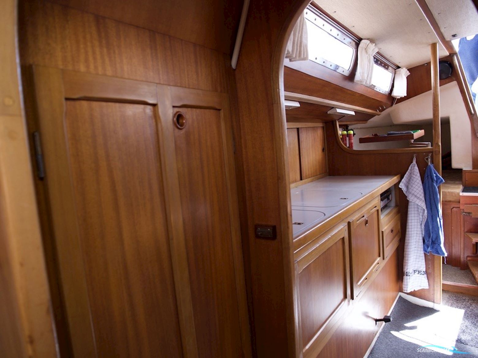 D.P. Doug Peterson 31