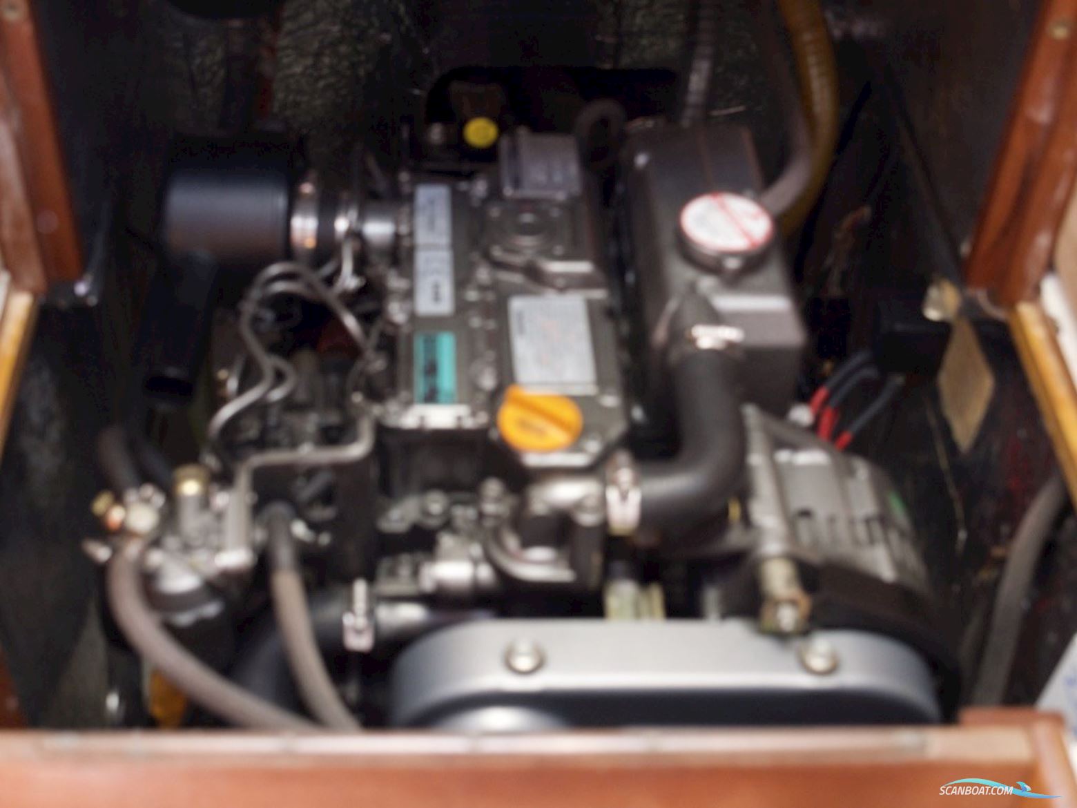 D.P. Doug Peterson 31