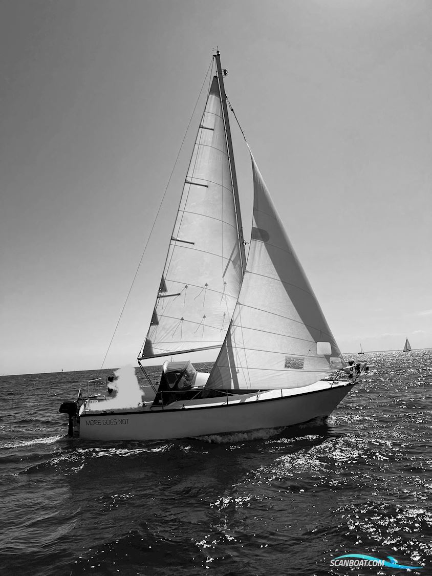 Dufour 24