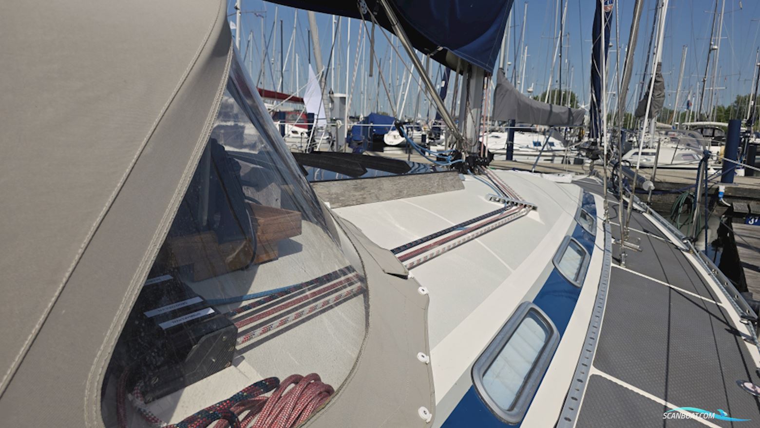 Dynamic 37