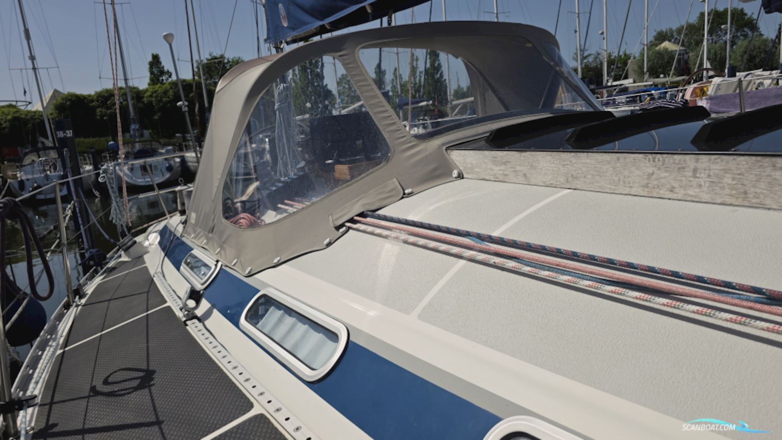 Dynamic 37