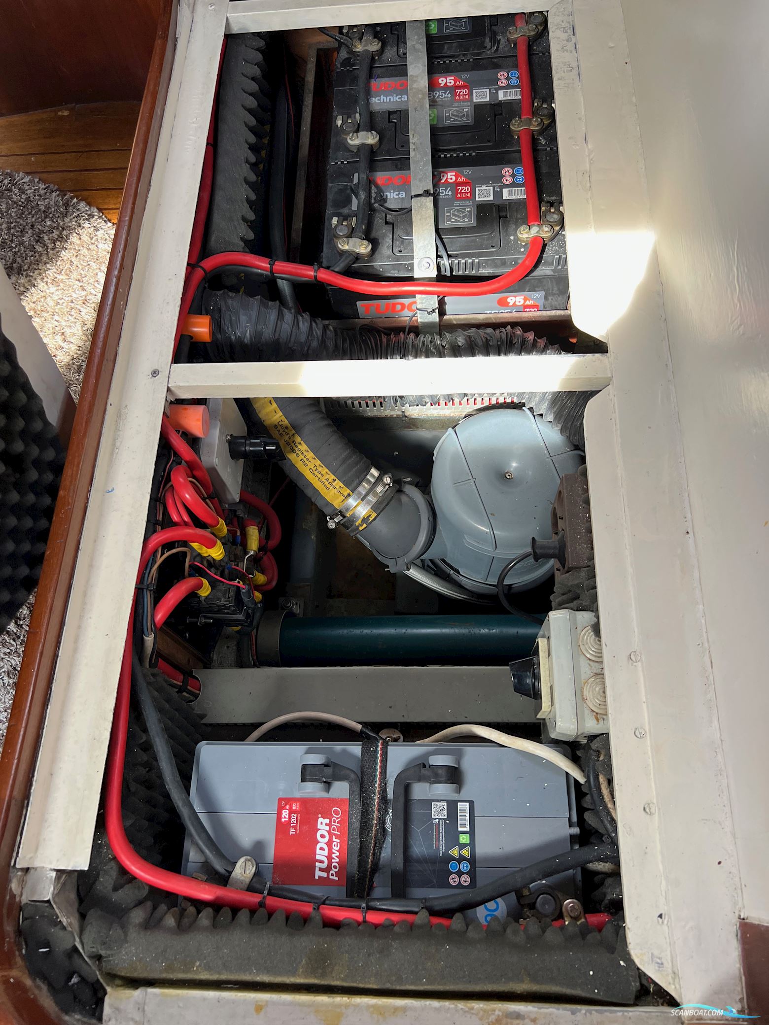 E.G. Van DE Stadt Stormy 55