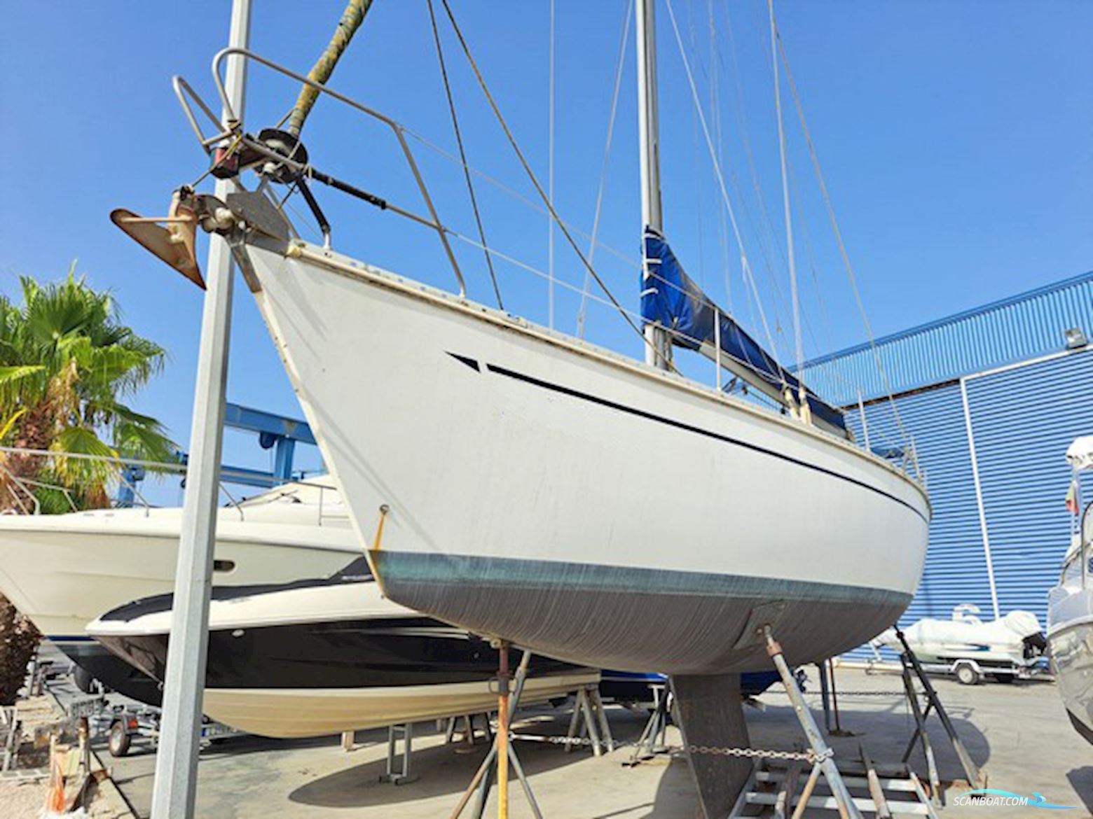 Elan 43.1