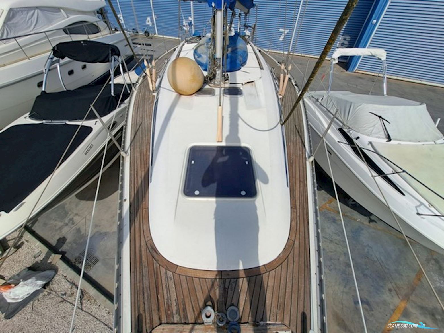 Elan 43.1