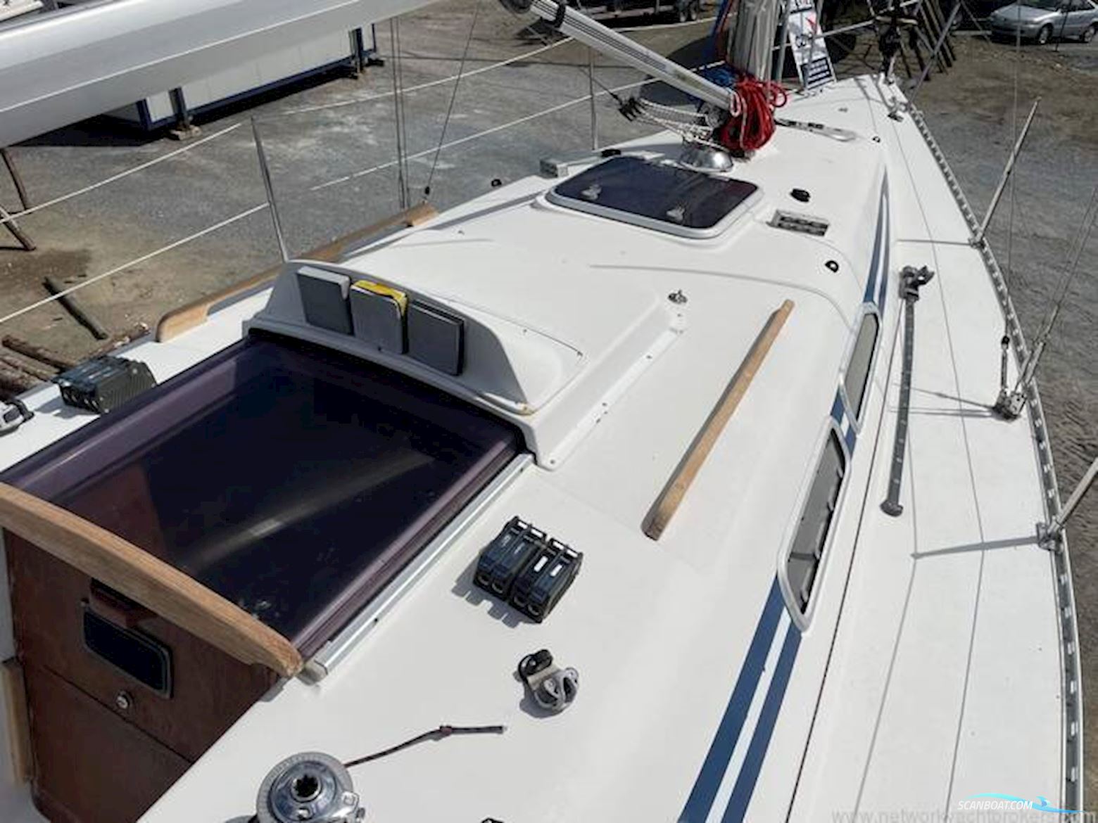 Elan Marine 295