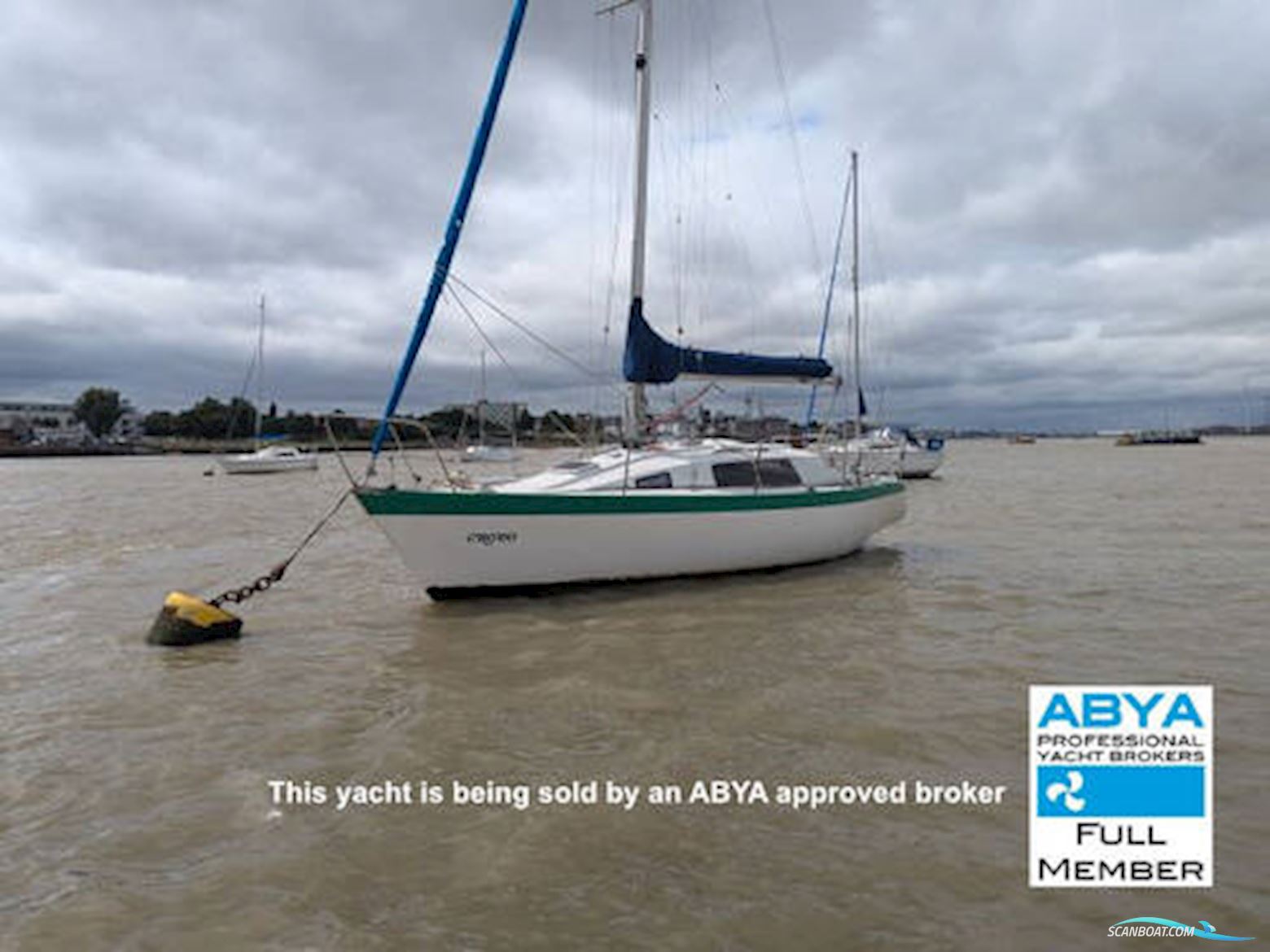 Europa 3000 Segelbåt 1979, med Yanmar 2YM15 motor, England