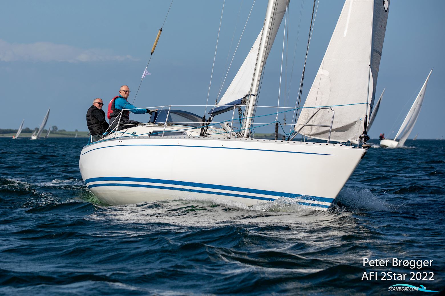 Fandango 32