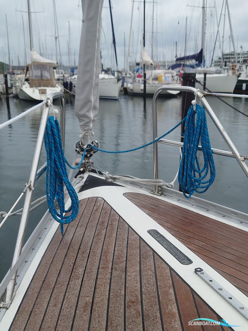 Fandango 32