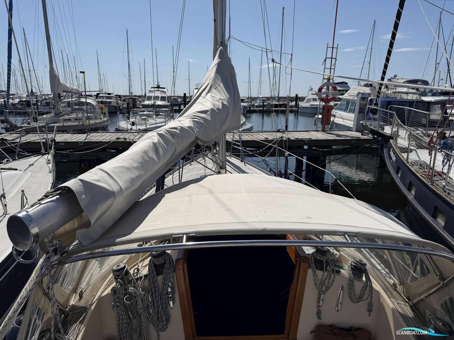 Fandango 32