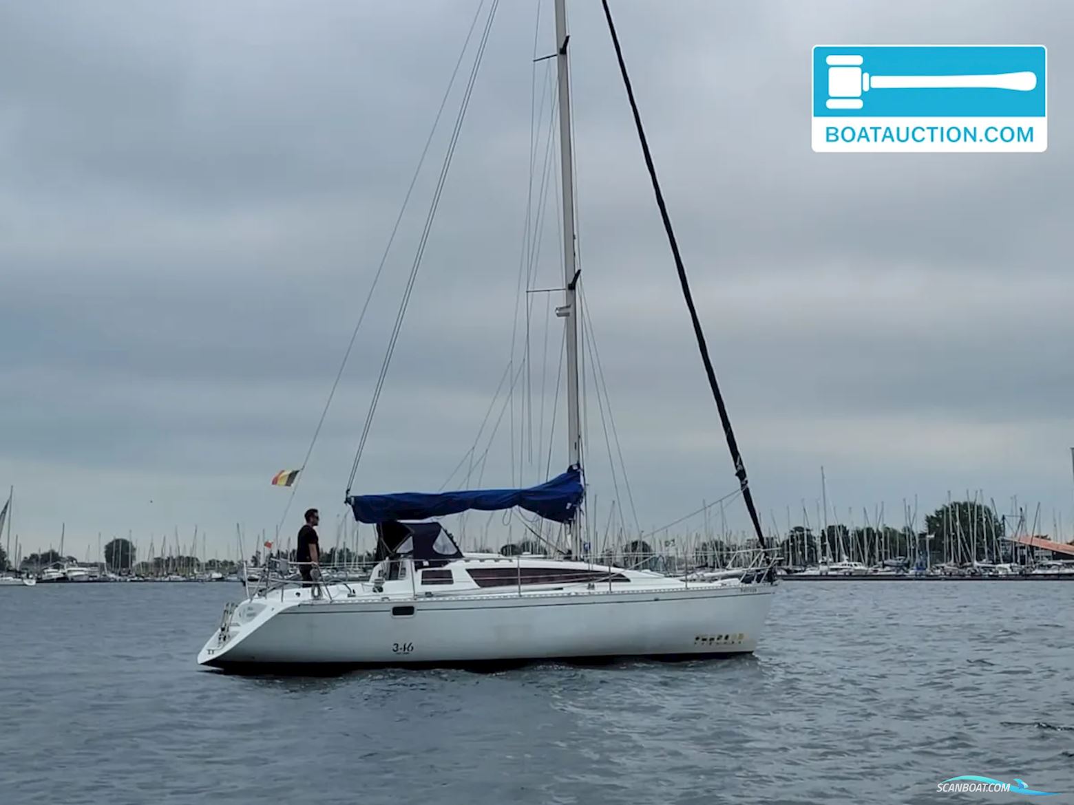 Feeling 346