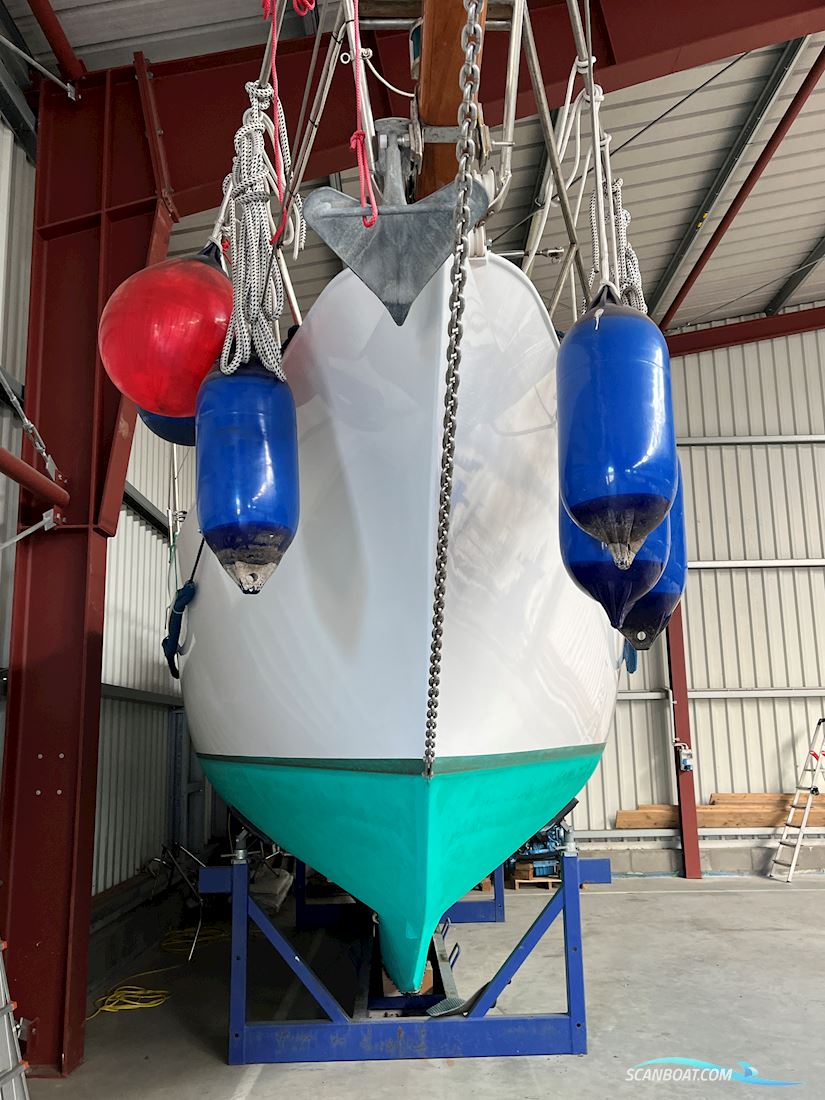 Feltz, Einzelbau, Rundspant