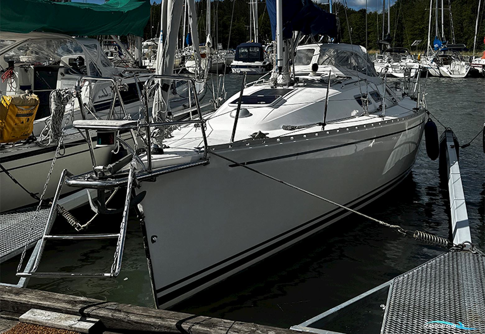 Finngulf 33