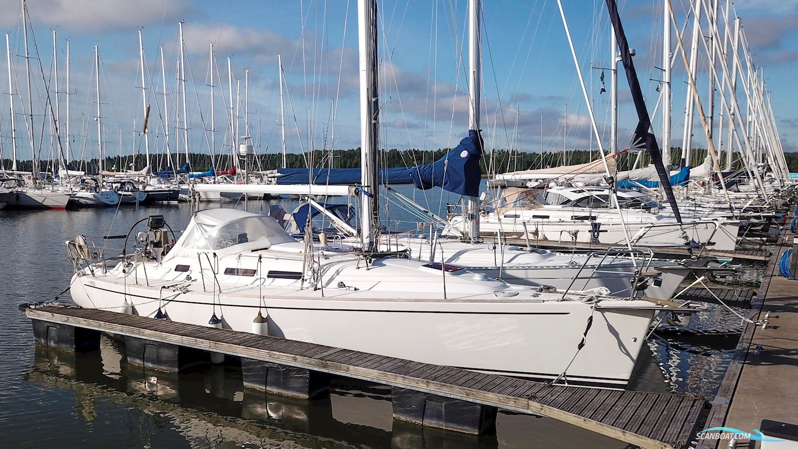 Finngulf 33