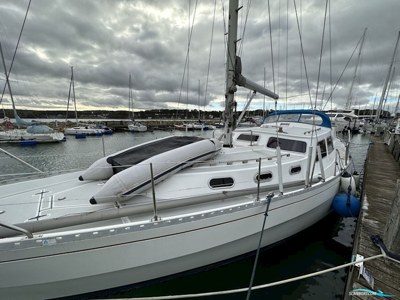 Finnrose 45 Deck saloon