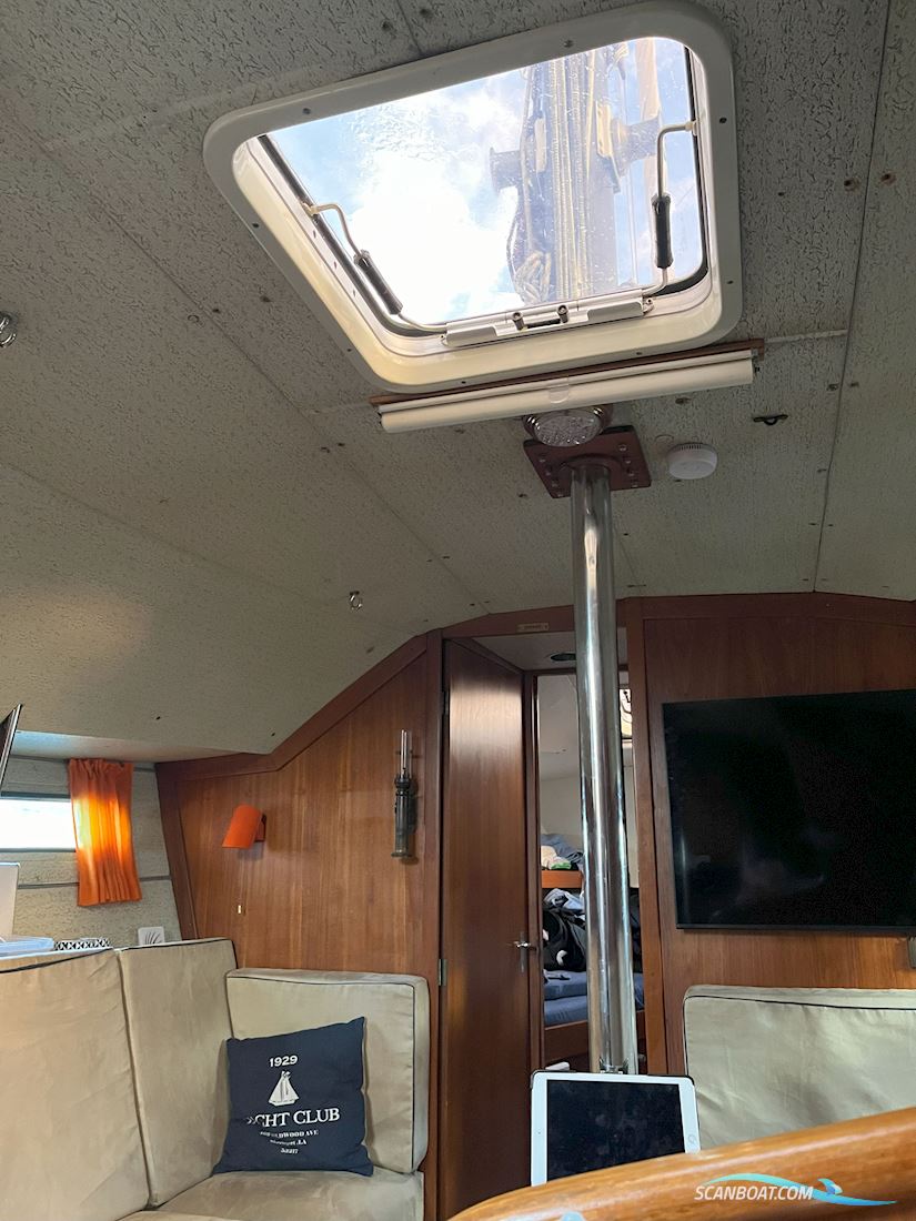 Finnsailer 38