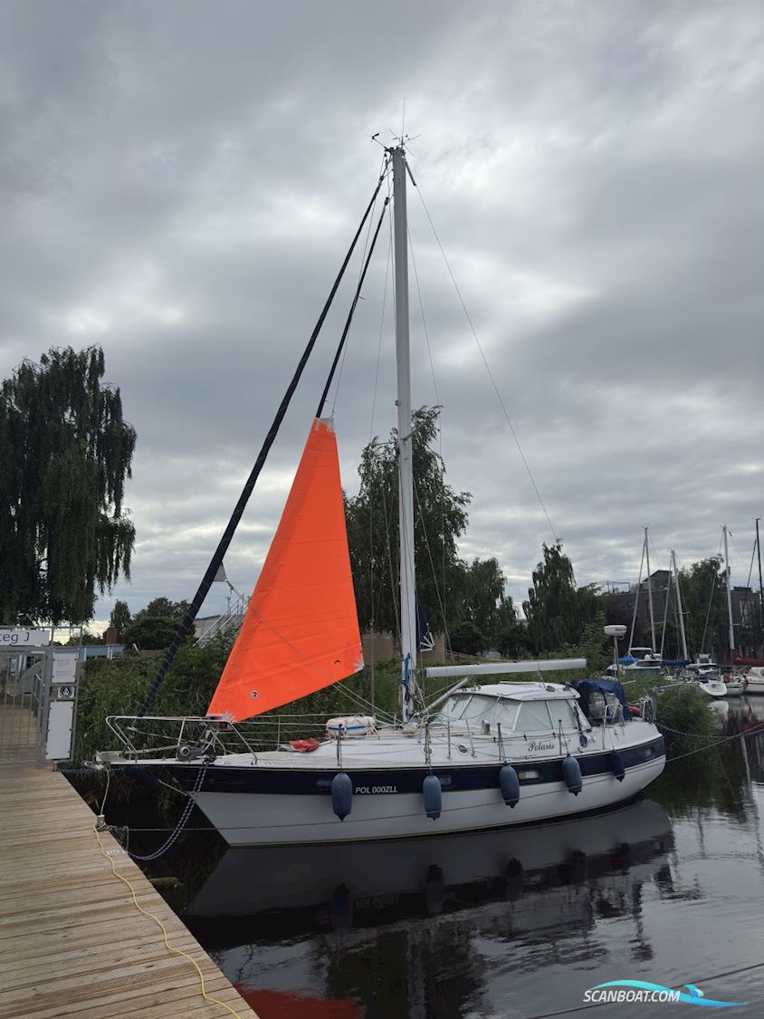 Finsailer 38