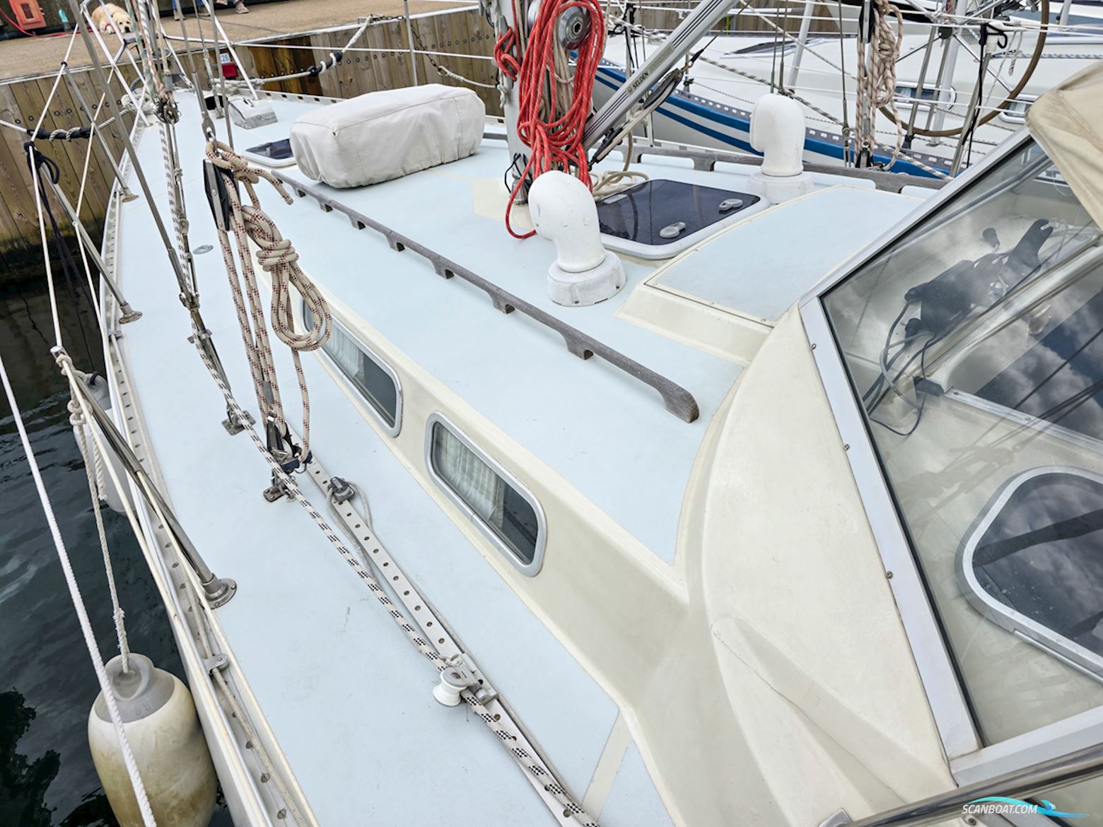 Forgus 35