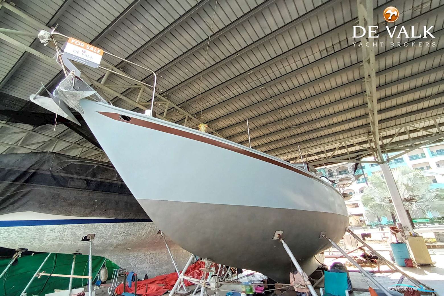 FRANS MAAS Calypso 43