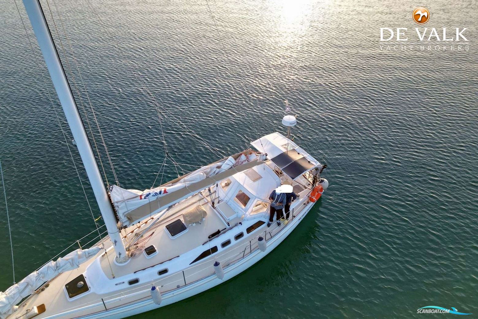 Freedom 38