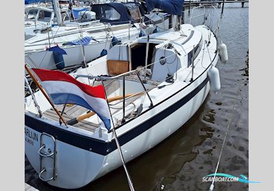 Friendship 28 Segelbåt 1980, med Volvo Penta motor, Holland
