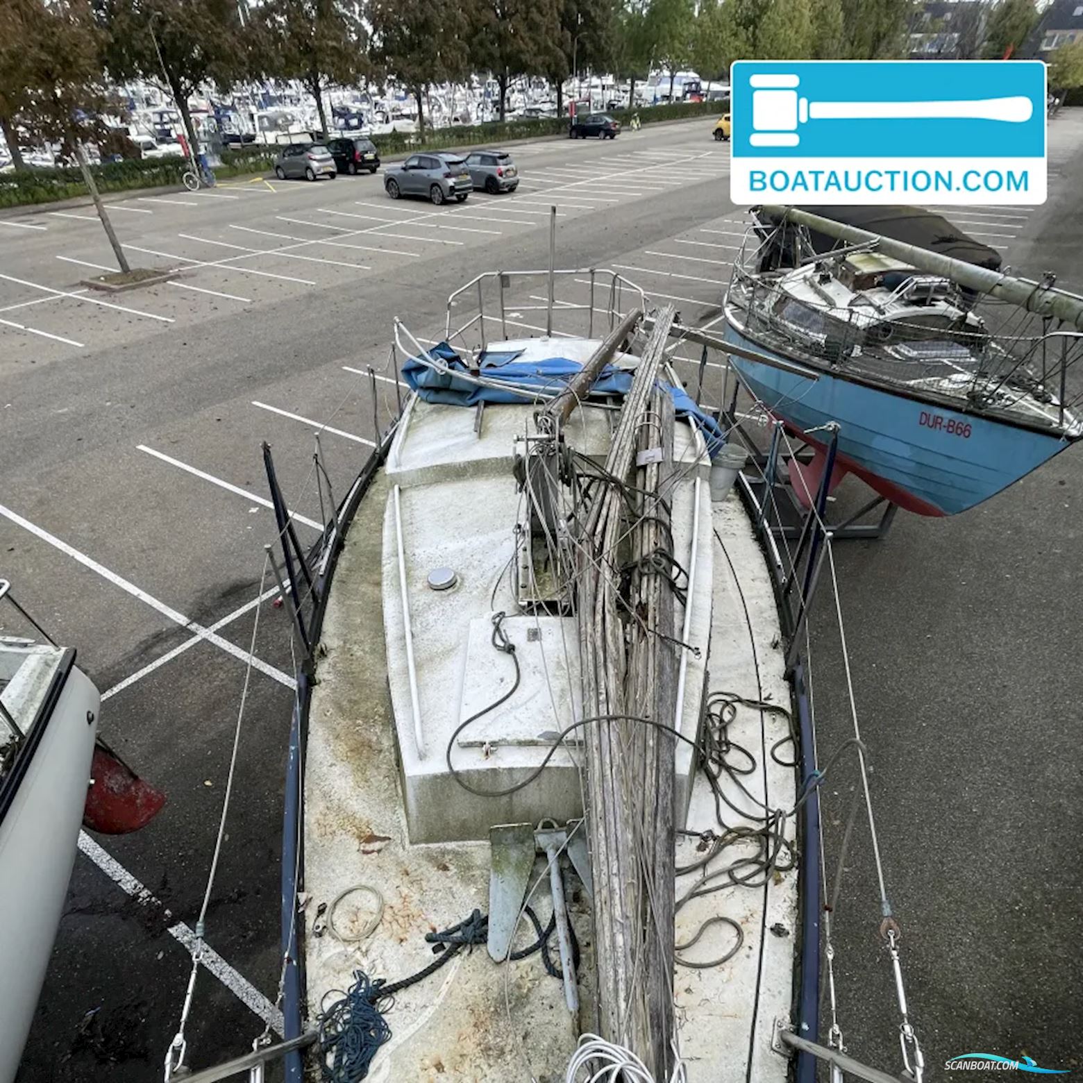 Friesland 860