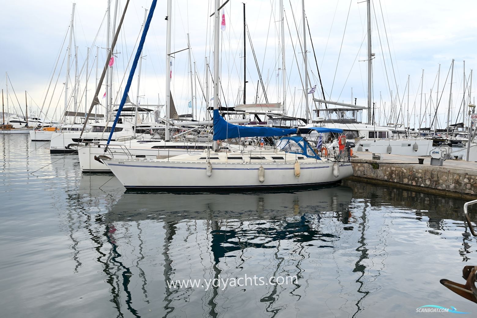 Gib Sea 442