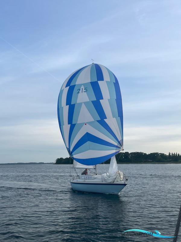 Granada 27 Segelbåt 1981, med Yanmar 7HK motor, Danmark