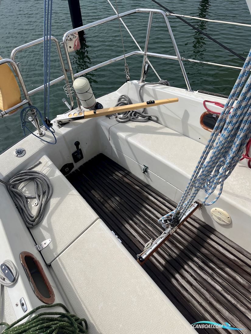 Granada 31