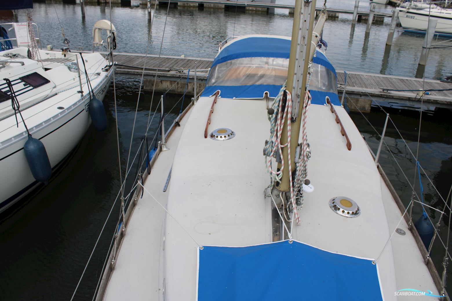 Great Dane GD 28