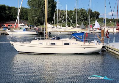 Hallberg Rassy 31 - Monsun Segelbåt 1975, med Volvo Penta 2003B motor, Danmark