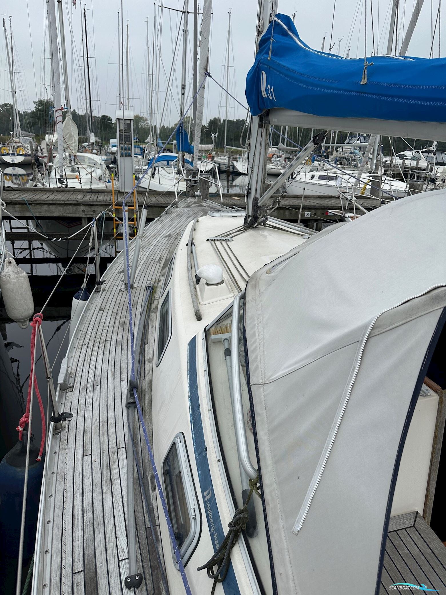 Hallberg-rassy 31
