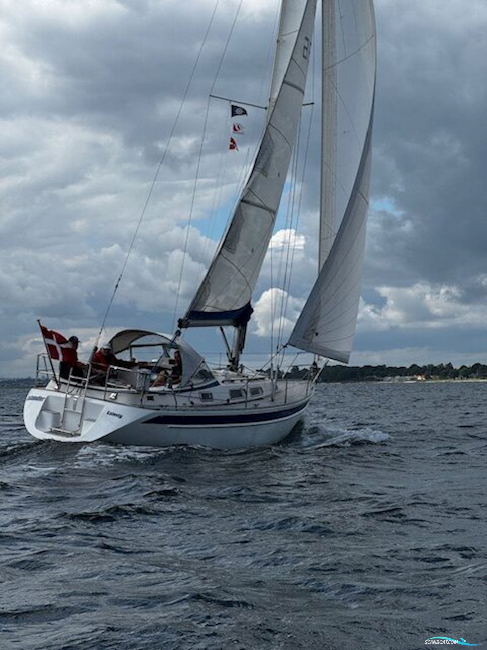 Hallberg-rassy 31