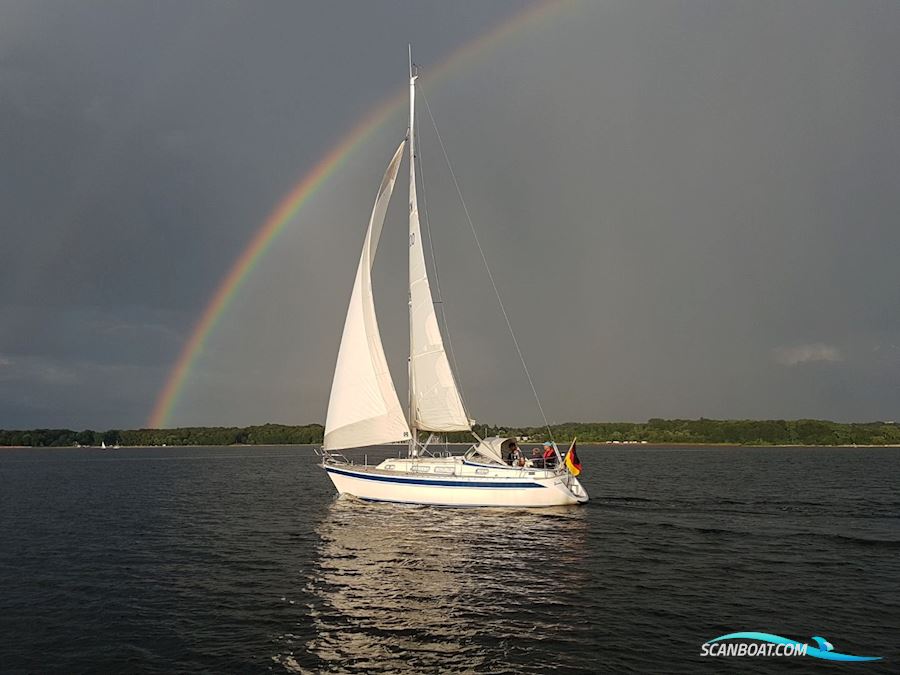 Hallberg-Rassy 31
