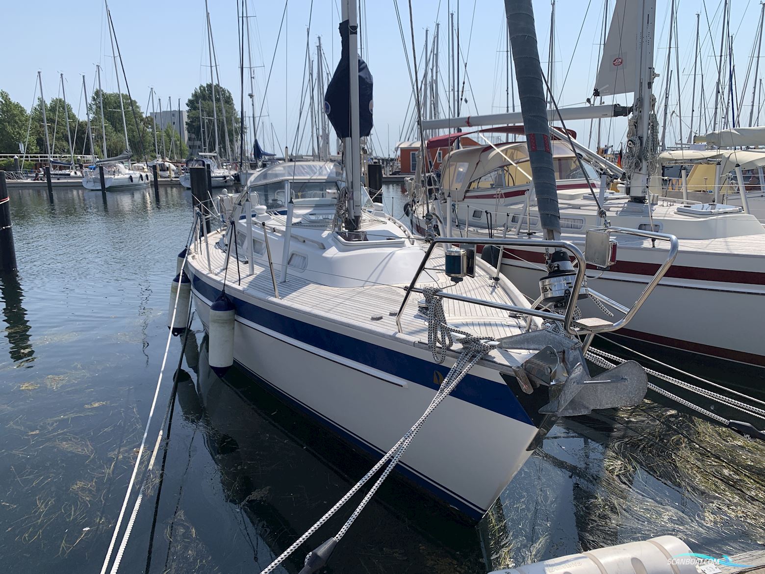 Hallberg-Rassy 34