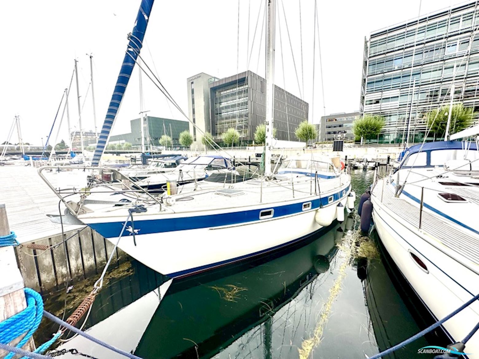 Hallberg Rassy 38 Segelbåt 1979, med Volvo Penta D2-75
 motor, Danmark