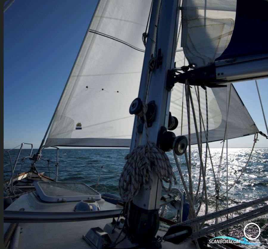 Hallberg Rassy Monsun 31