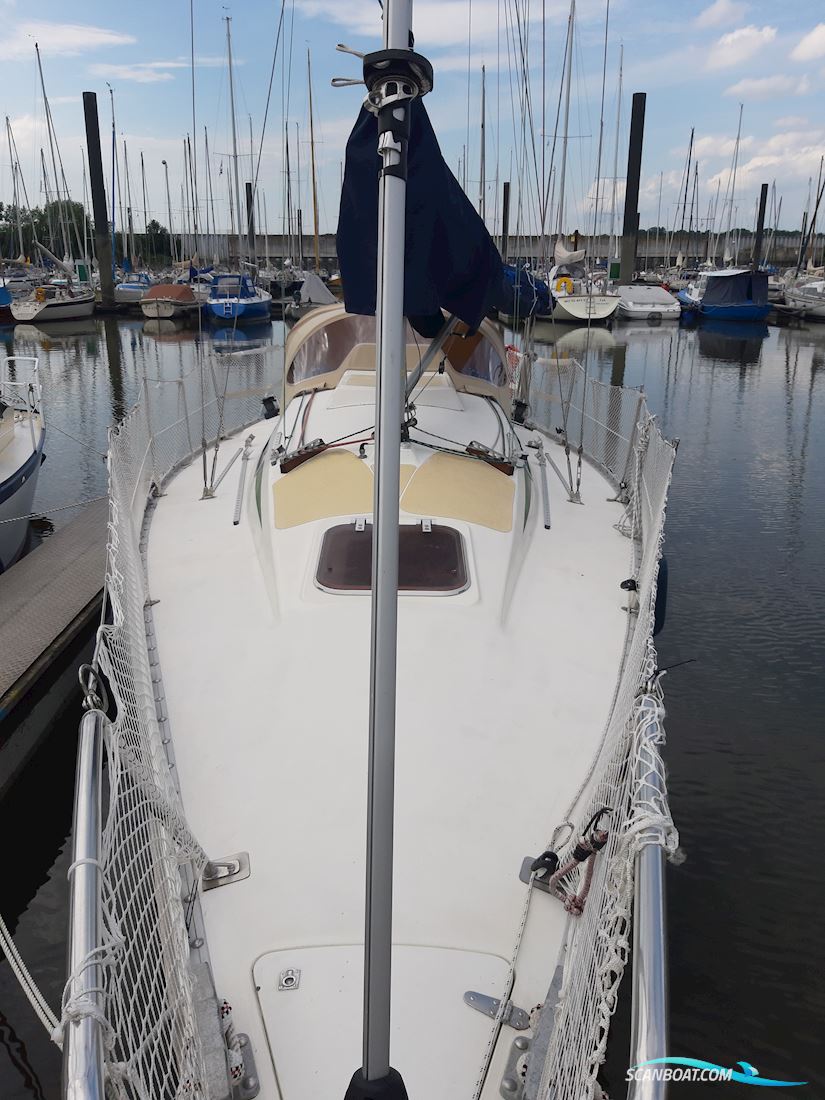 Hanse 291