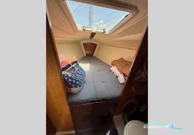 Hanse 291 Segelbåt 1996, med Volvo Penta 2010 motor, Tyskland