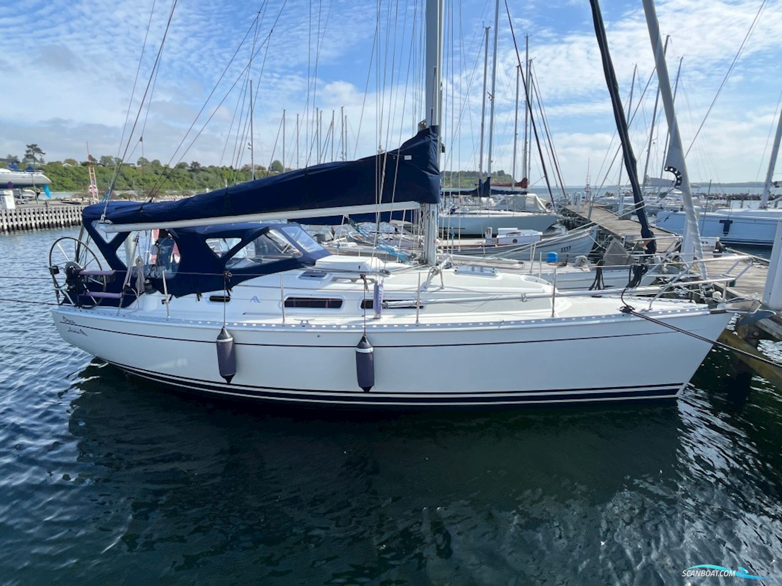 Hanse 311 - Solgt på 2 Uger Segelbåt 2003, med Volvo Penta MD2020 motor, Danmark