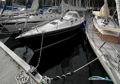 Hanse 331 Segelbåt 1995, med Volvo Penta MD2020 motor, Tyskland