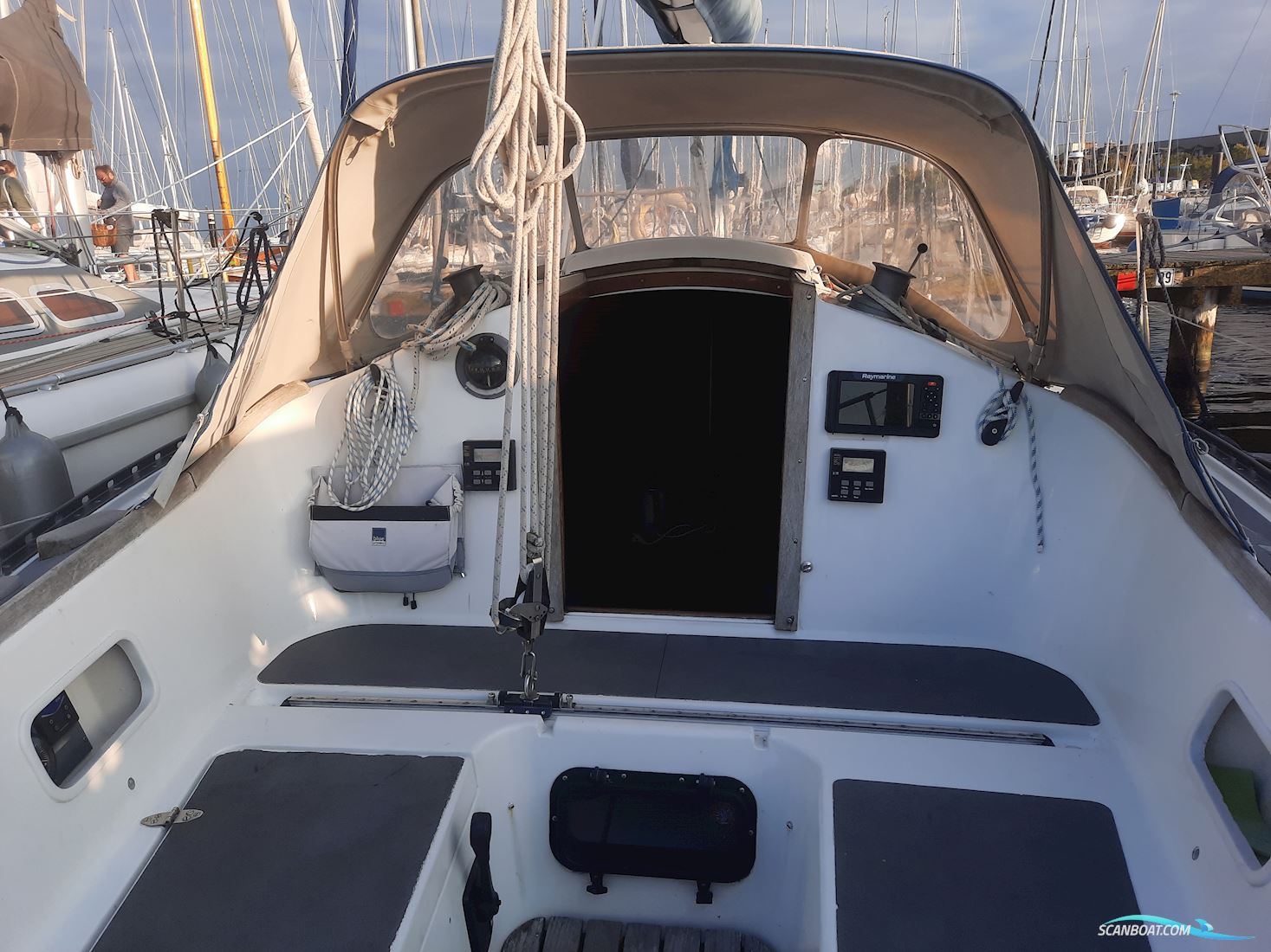 Helmsman 31