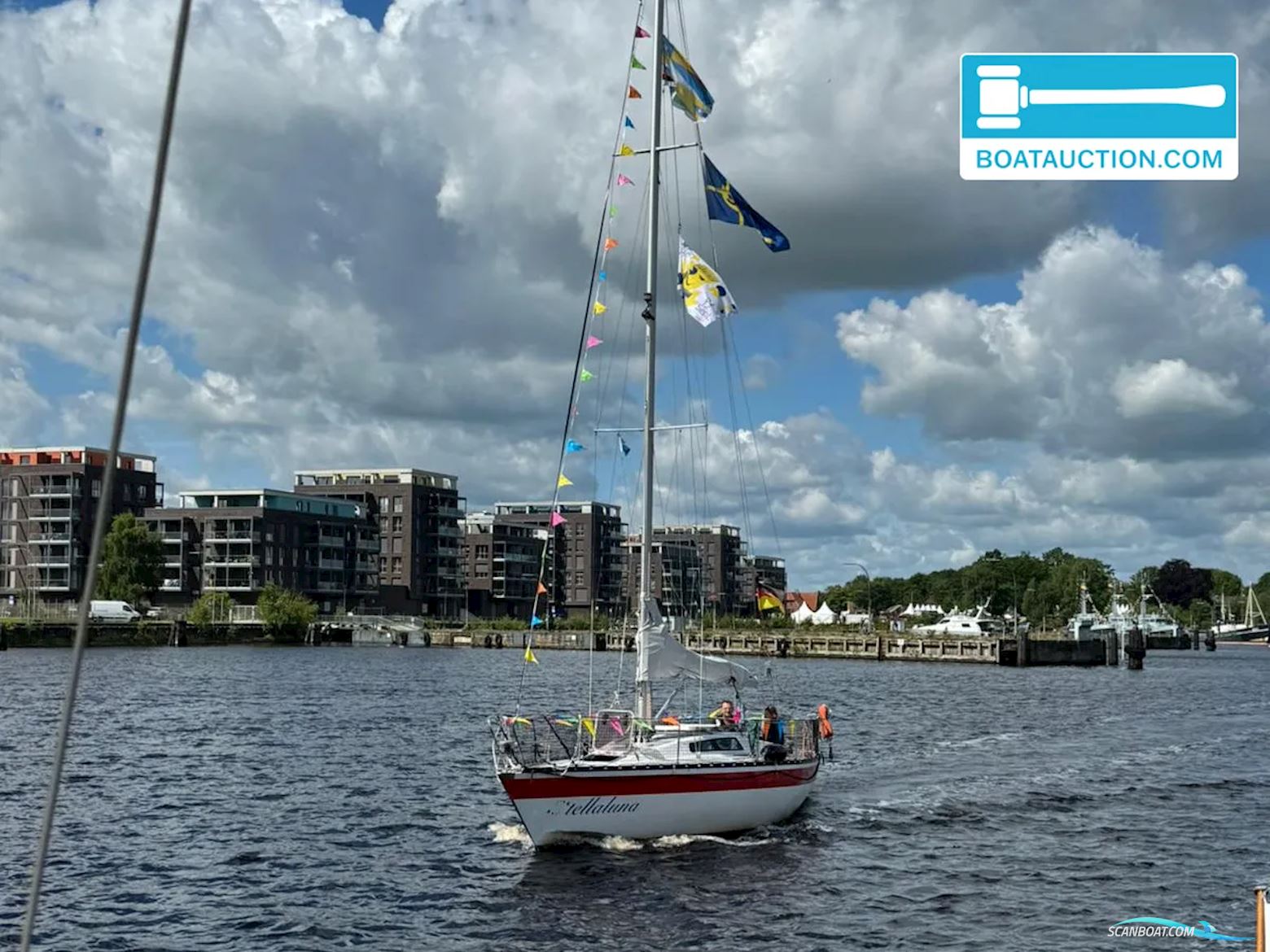 Helmsman 31